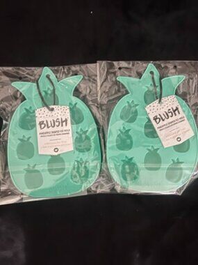 Blush Teal Pineapple Ice Trays - Set of 2